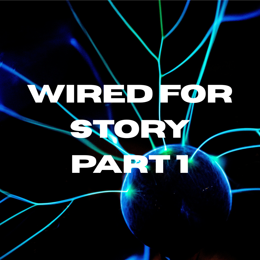 Wired for Story Lisa Cron